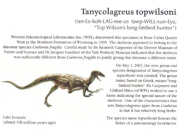 Scanned image of <i>Tanycolagreus topwilsoni</i> plate. (Courtesy North American Museum of Ancient Life)